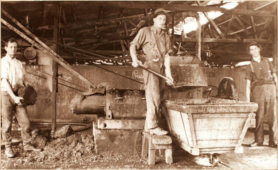 Three Workers with Machinery at Hamiltons Ewell Winery c1870